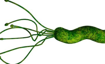 helicobacter-pylori