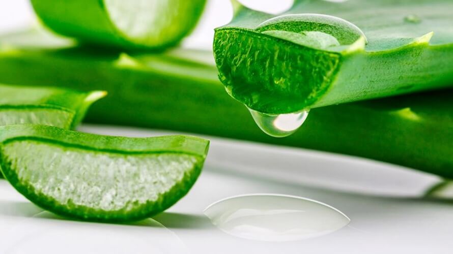 aloe vera njega koze