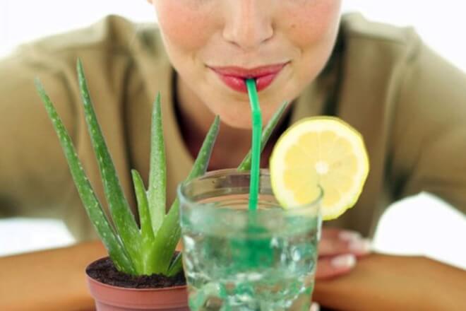 aloe vera sok