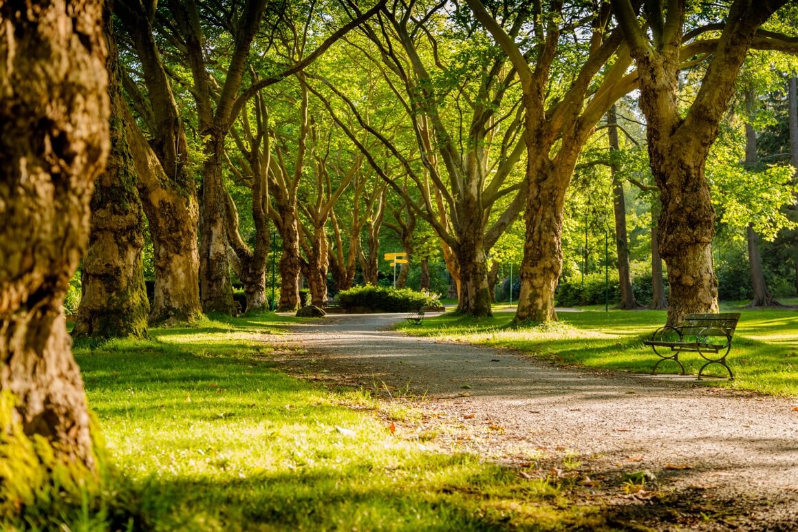 Zeleni park