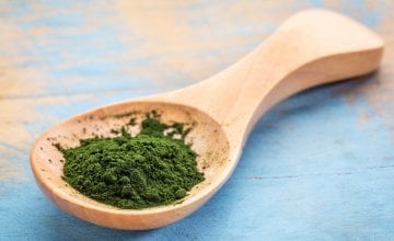 Chlorella alga